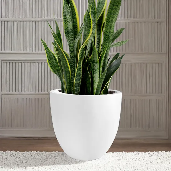 White_Ceramic_Look_Planter_Pot_For_Indoor_Plants