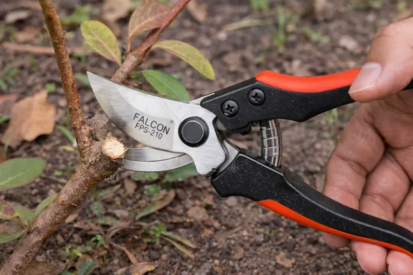 Pack_of_3_Professional_Gardening_Pruning_Shears_With_Ergonomic_Orange_Handle