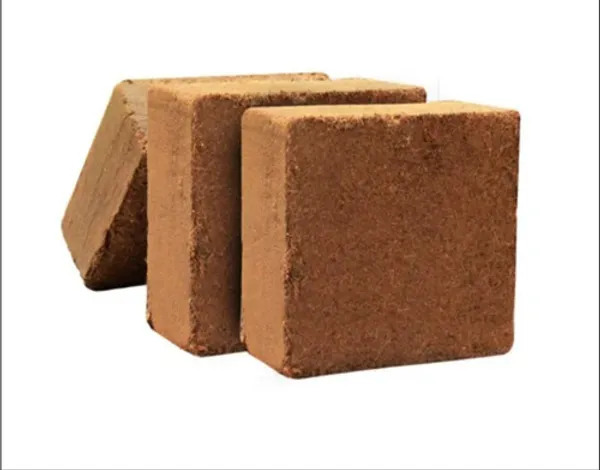 Pack_of_2_Compressed_Coco_Peat_Block_For_Gardening_And_Planting