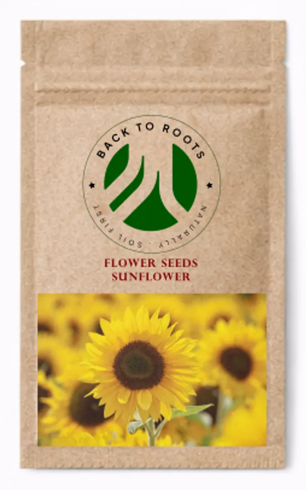 Pack_of_3_Sunflower_Seeds,_Flower_Seeds_For_Gardening