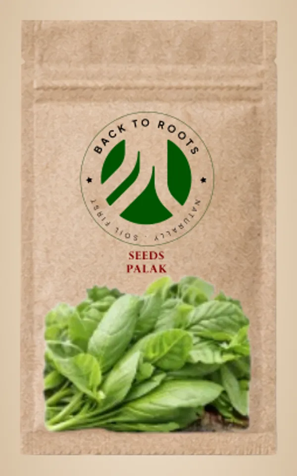 Pack_of_3_Palak_Seeds,_Organic_Spinach_Seeds_For_Home_Gardening