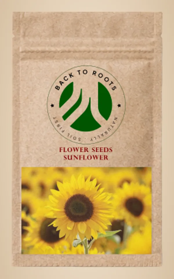 Pack_of_3_Sunflower_Seeds,_Flower_Seeds_For_Gardening