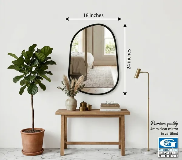 Modern_Asymmetrical_Wall_Mirror_With_Black_Metal_Frame_18X24_Inches