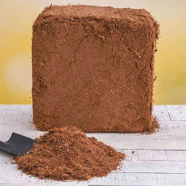CocoPeat_Cubes_From_Bettergardenings