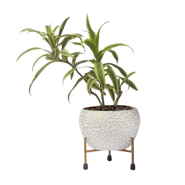 Metal_Contemporary_Abstract_Pattern_Indoor_Planter_With_Stand
