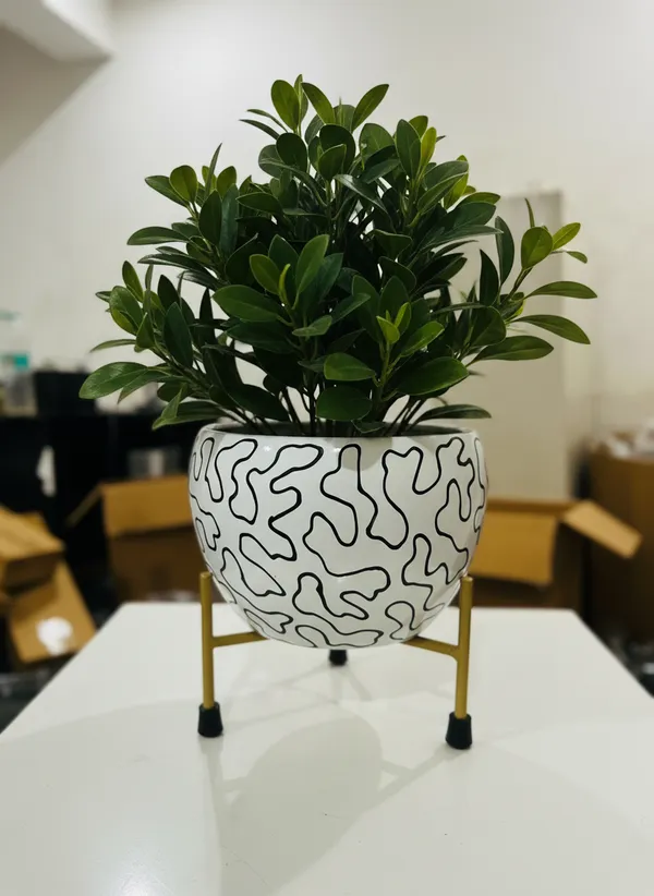 Modern_Abstract_Line_Print_Planter_With_Gold_Metal_Stand