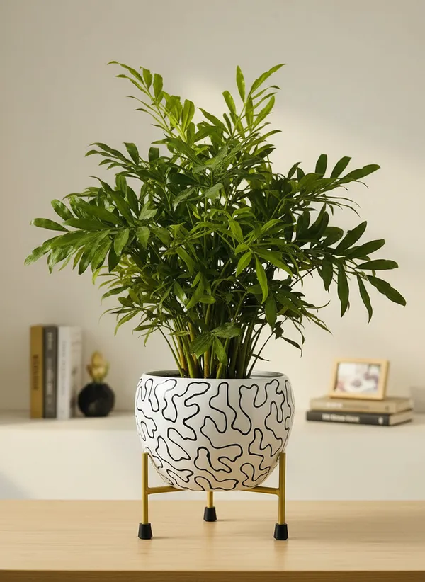 Modern_Abstract_Line_Print_Planter_With_Gold_Metal_Stand