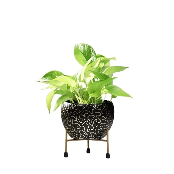 Metal_Contemporary_Geometric_Abstract_Indoor_Planter_With_Stand