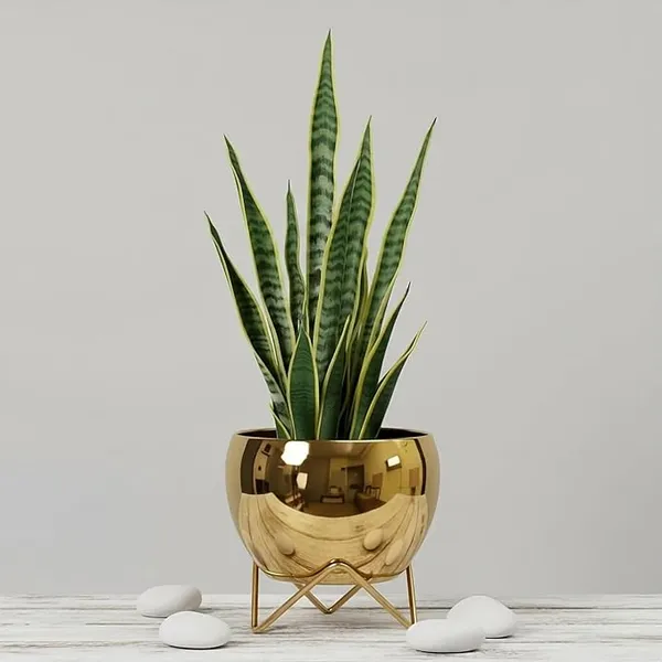 IRON_Gold_Pot_with_Metal_Stand