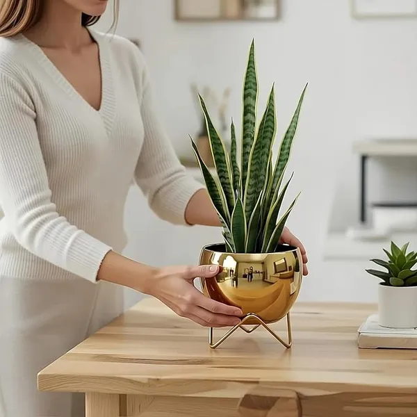 IRON_Gold_Pot_with_Metal_Stand