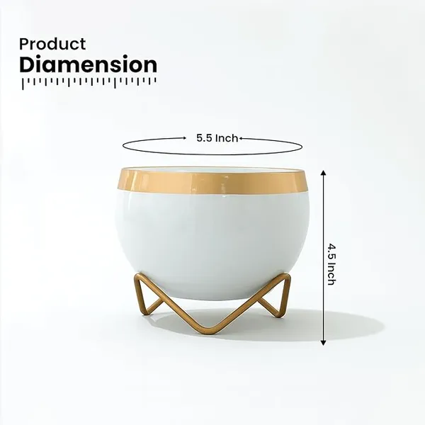 Metal_Modern_Gold_Rim_White_Bowl_Indoor_Planter_Stand