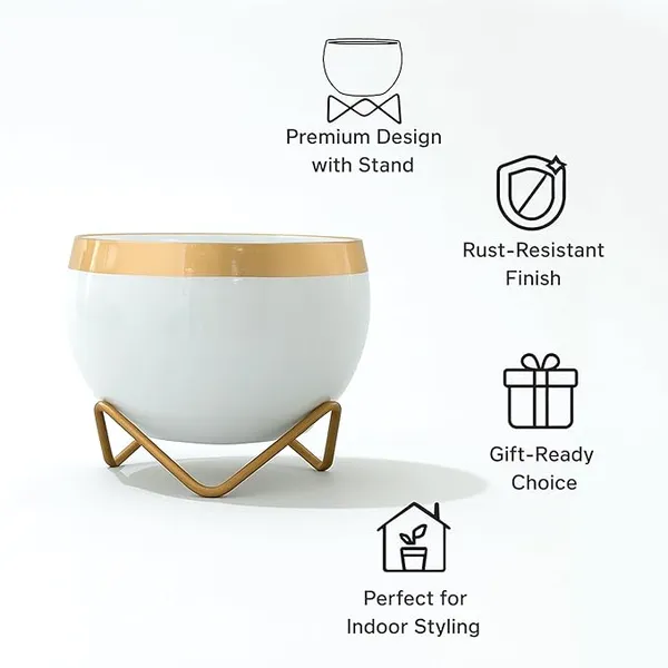 Metal_Modern_Gold_Rim_White_Bowl_Indoor_Planter_Stand