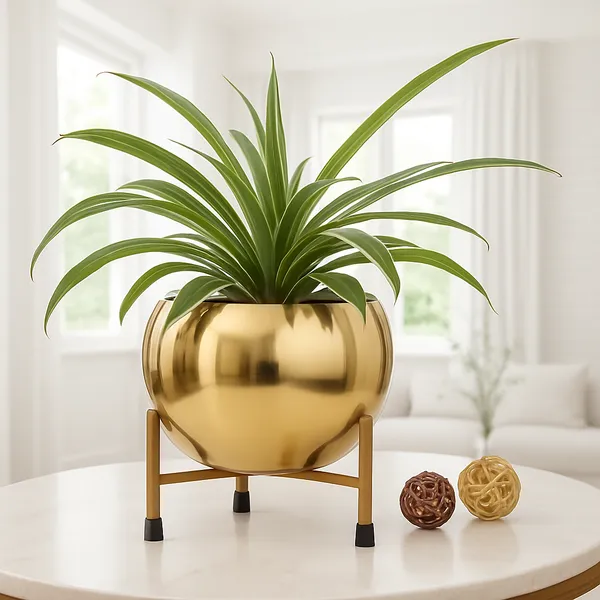 Metal_Modern_Solid_Gold_Round_Planter_With_Stand