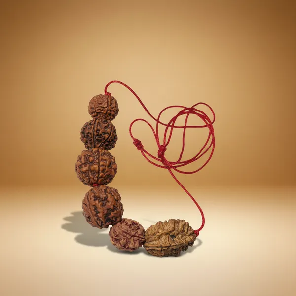 2_To_7_Mukhi_Rudraksha_Mala_Red_Thread