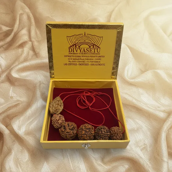 2_To_7_Mukhi_Rudraksha_Mala_Red_Thread
