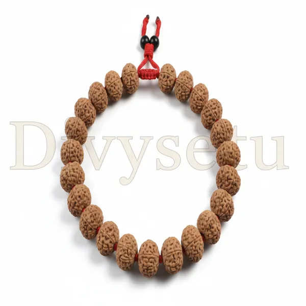 Brown_9_Mukhi_Rudraksha_Bracelet_For_Unisex