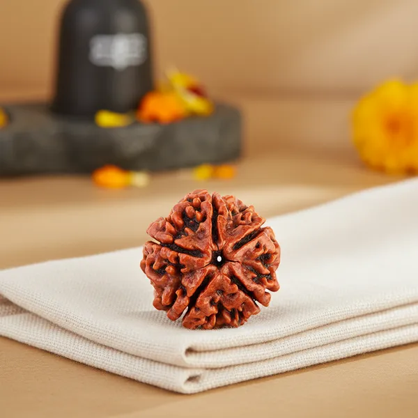 Brown_5_Mukhi_Rudraksha_Laal_Dhaga_For_Unisex