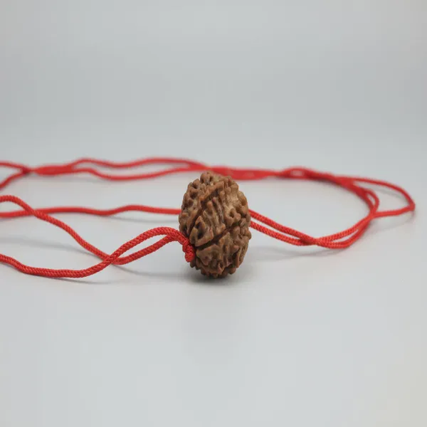 Single_7_Mukhi_Rudraksha_Lal_Dhaga