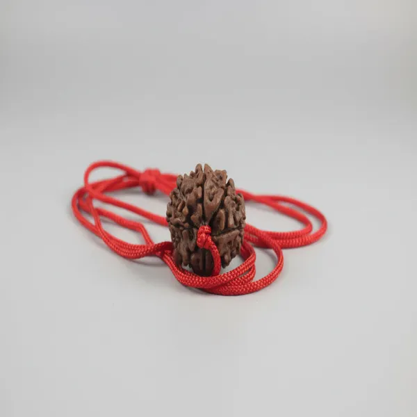 Single_7_Mukhi_Rudraksha_Lal_Dhaga