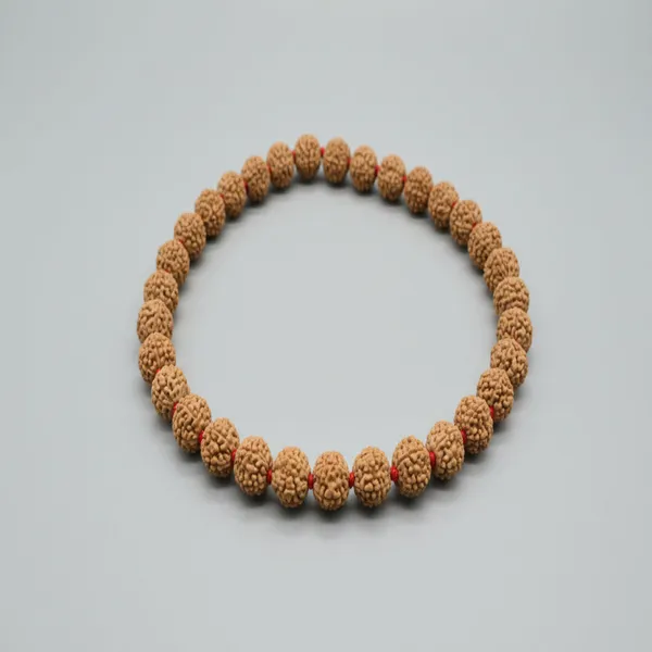 Brown_Rudraksha_Sumrani_Bracelet_For_Unisex