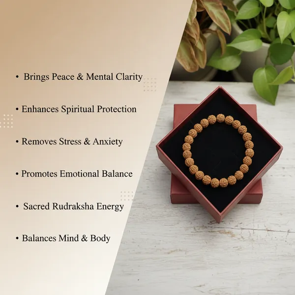 Brown_Rudraksha_Bracelet_For_Unisex