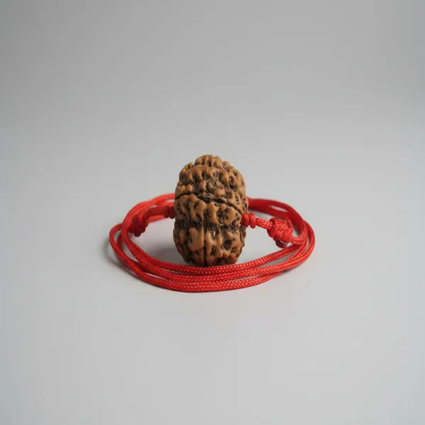4_Mukhi_Rudraksha_Mala_Lal_Dhaga