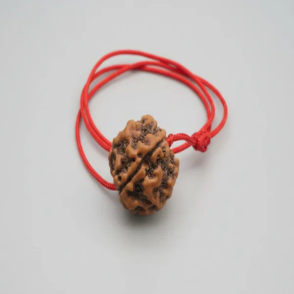 4_Mukhi_Rudraksha_Mala_Lal_Dhaga