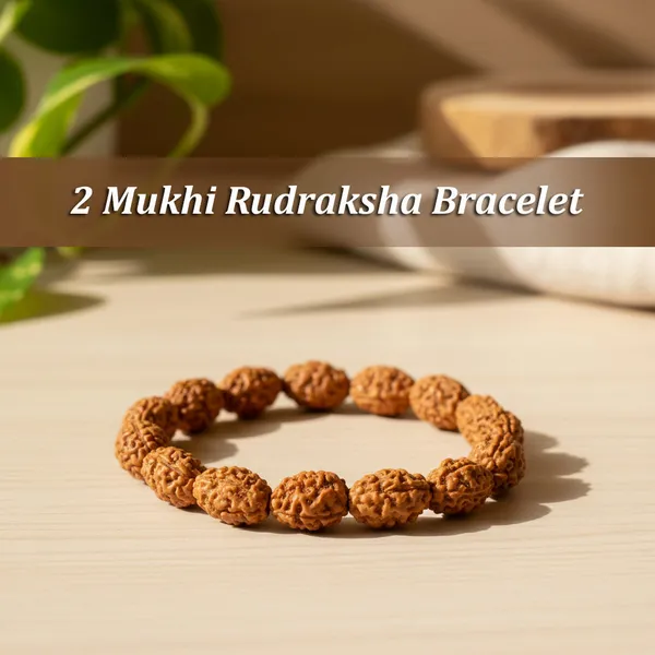 Brown_2_Mukhi_Rudraksha_Bracelet_For_Unisex