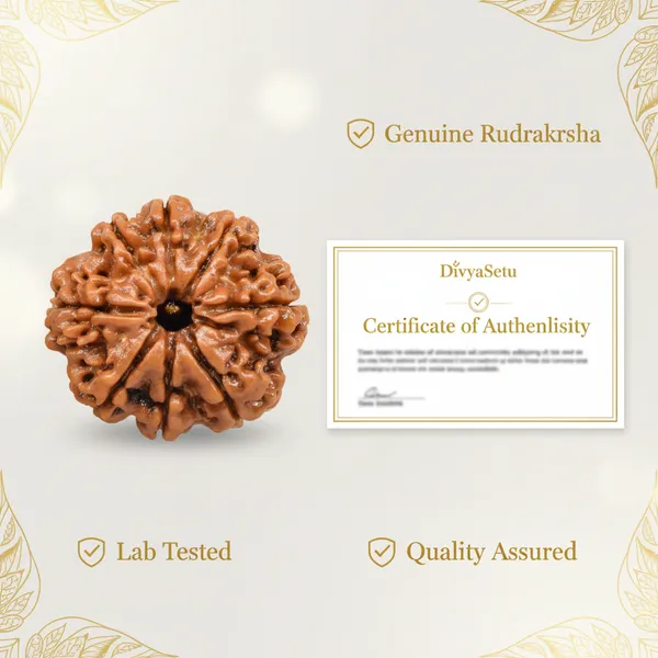 Brown_8_Mukhi_Rudraksha_Bracelet_For_Bracelet