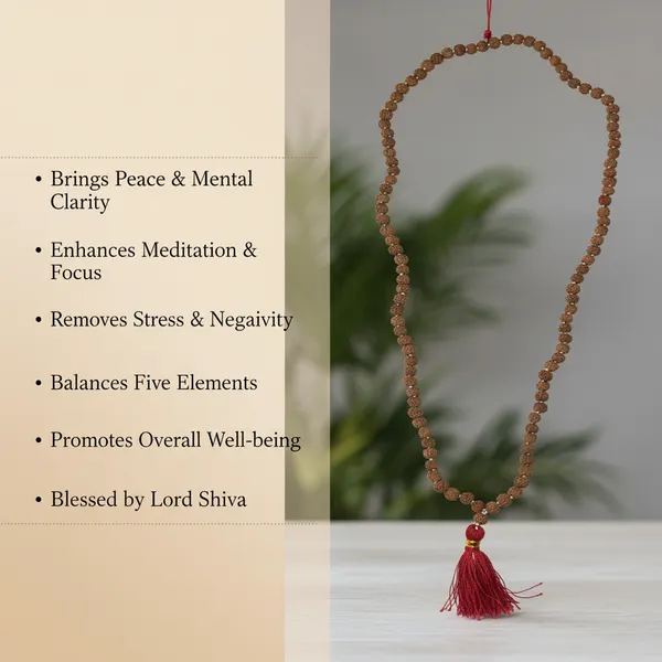 Brown_Rudraksha_Japa_Mala_For_Unisex