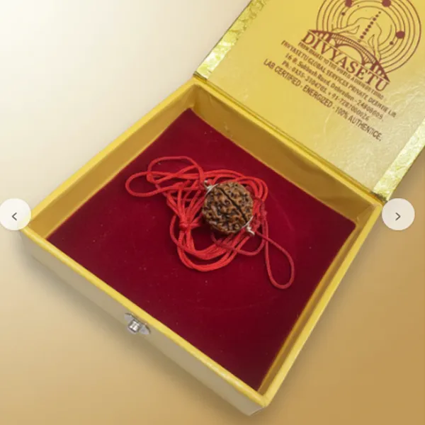 4_Mukhi_Rudraksh_With_Silver_Cap