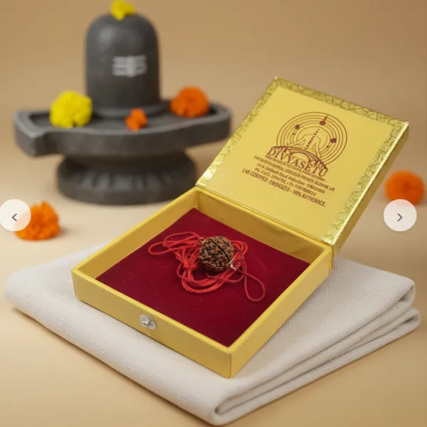 4_Mukhi_Rudraksh_With_Silver_Cap