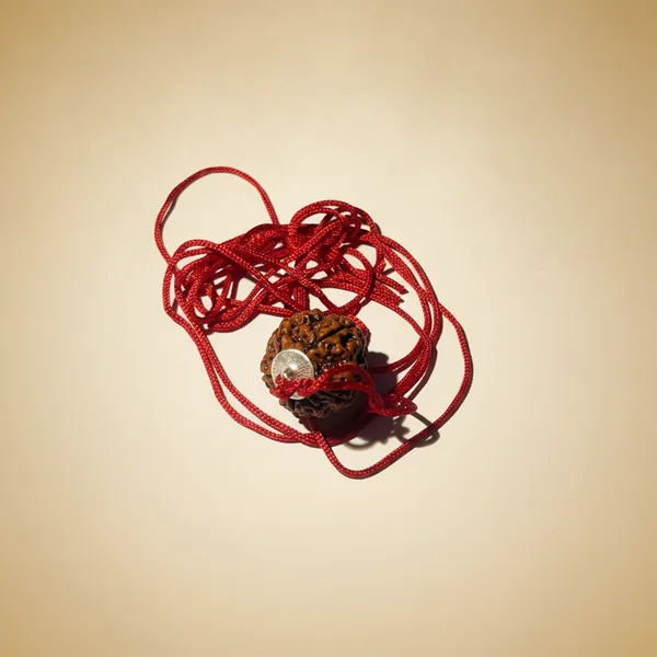 4_Mukhi_Rudraksh_With_Silver_Cap