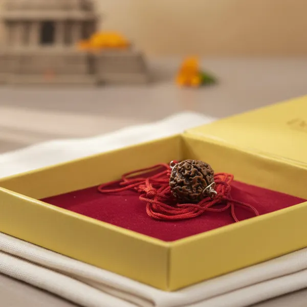 6_Mukhi_Rudraksha_With_Silver_Cap