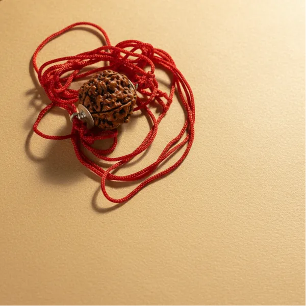 6_Mukhi_Rudraksha_With_Silver_Cap