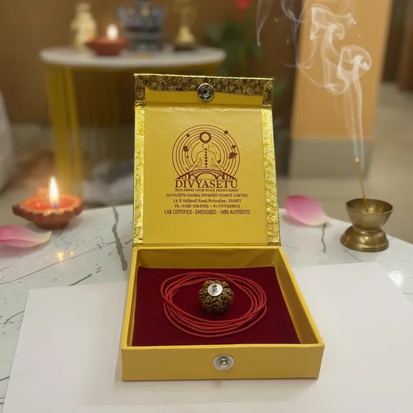 7_Mukhi_Rudraksha_With_Silver_Cap