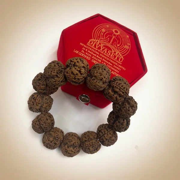 Brown_Premium_Rudraksha_Bracelet_For_Business_Owners