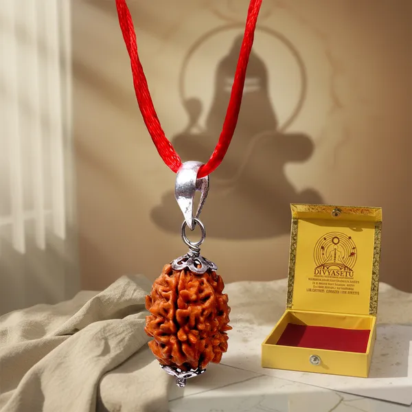 3_Mukhi_Siddhi_Rudraksha_With_Silver_Cap