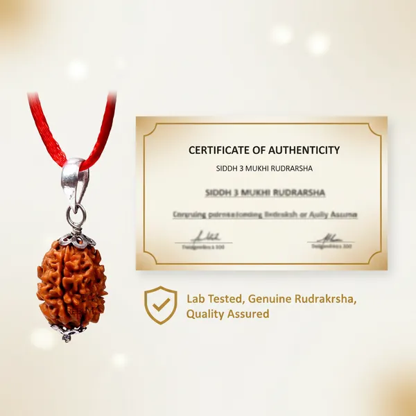 3_Mukhi_Siddhi_Rudraksha_With_Silver_Cap