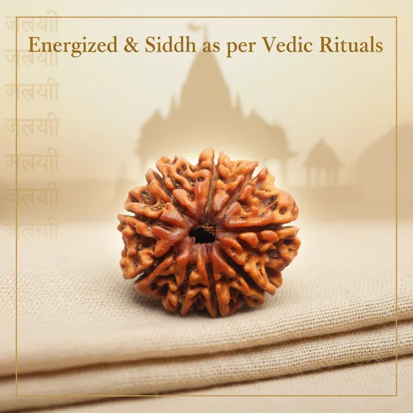 9_Mukhi_Siddhi_Rudraksha_With_Silver_Cap