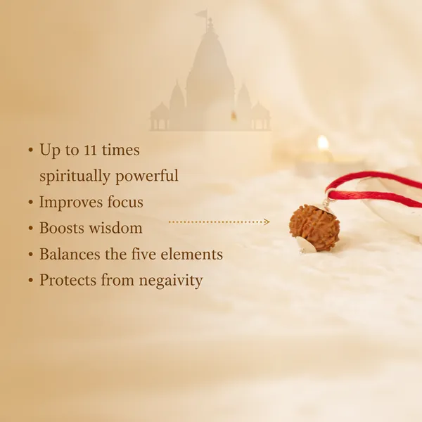 9_Mukhi_Siddhi_Rudraksha_With_Silver_Cap