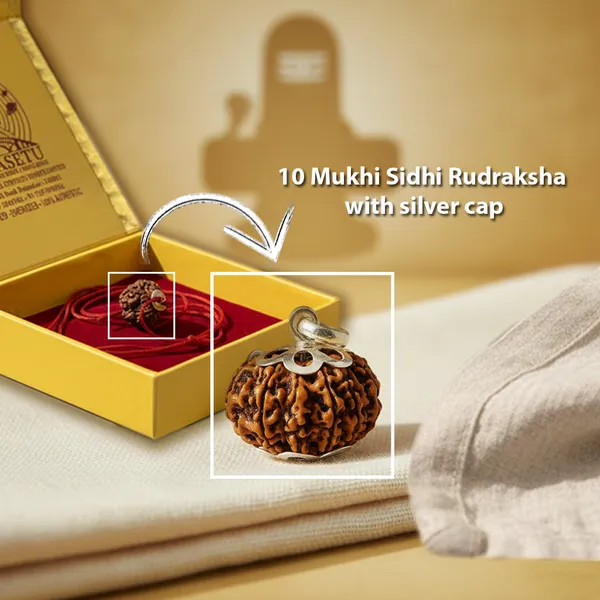10_Mukhi_Siddhi_Rudraksha_With_Silver_Cap