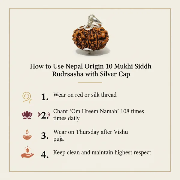 10_Mukhi_Siddhi_Rudraksha_With_Silver_Cap