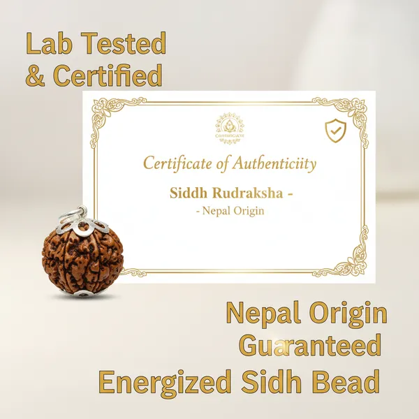 10_Mukhi_Siddhi_Rudraksha_With_Silver_Cap