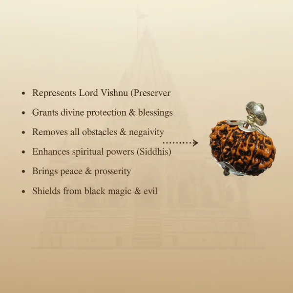 10_Mukhi_Siddhi_Rudraksha_With_Silver_Cap
