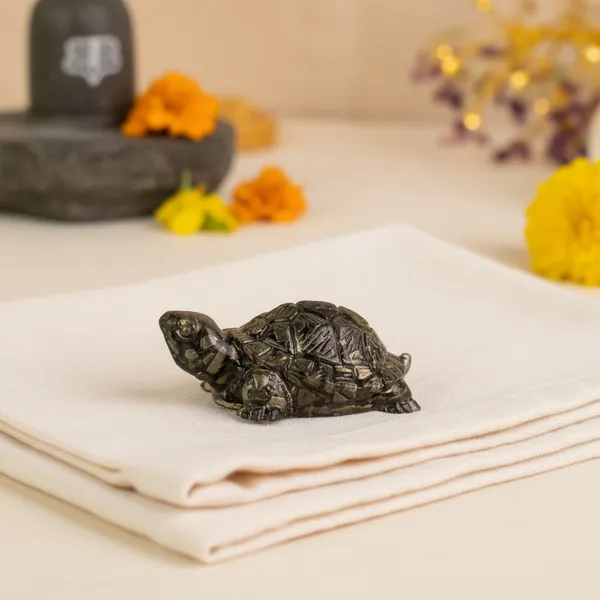 Grey_Kachua_Vastu_Tortoise_For_Unisex