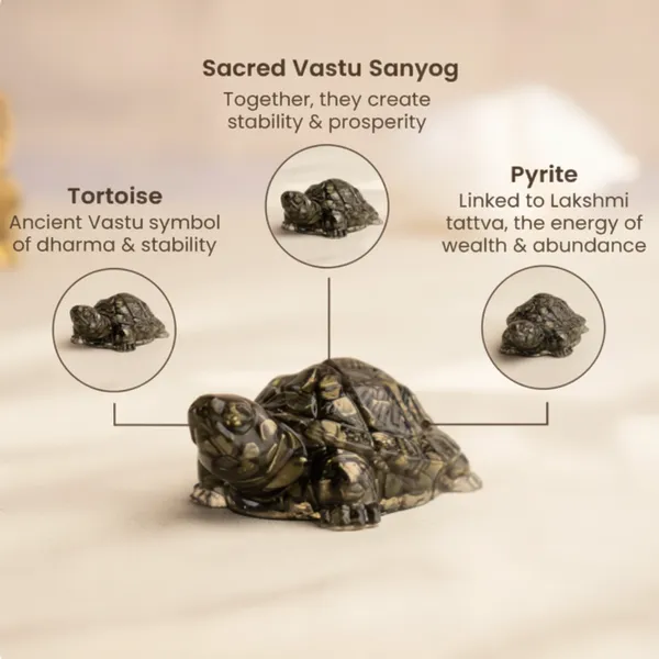 Grey_Kachua_Vastu_Tortoise_For_Unisex