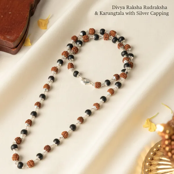 Divya_Raksha_Rudraksha_Karungali_Mala_With_Silver_Capping