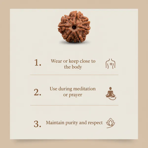 Nepal_Origin_7_Mukhi_Rudraksha