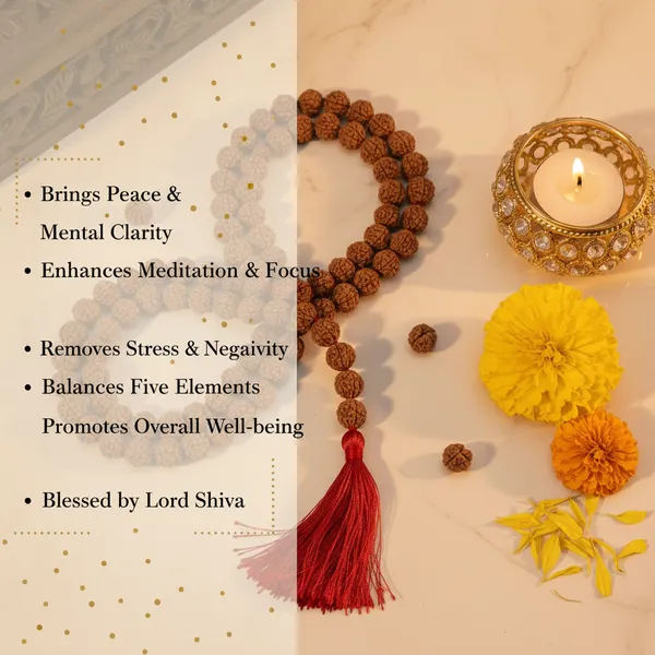 5_Mukhi_Rudraksha_Mala